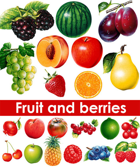 Fruit and Berries Photo Stock (485x576, 328Kb)
