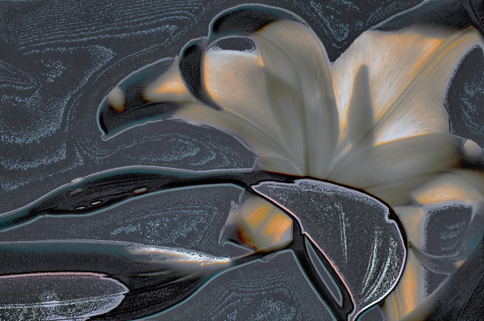 WX_XXVIS (700x465, 136Kb)