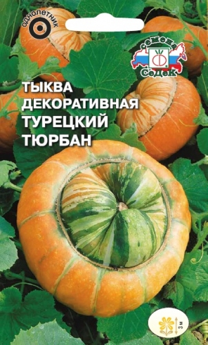 tykva-turetskiy-tyurban_n_ (301x500, 206Kb)