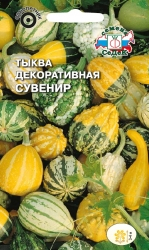 Тыква декоративная (обыкновенная) Сувенир (Н) (149x250, 69Kb)