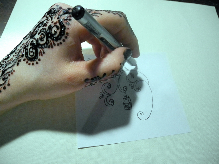 DSCN3508 (700x525, 377Kb)