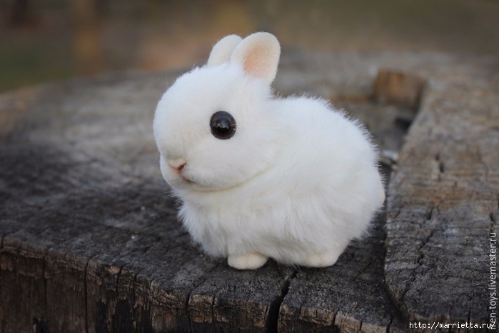Пушистый пасхальный кролик в технике сухое валяние (7) (700x466, 184Kb)