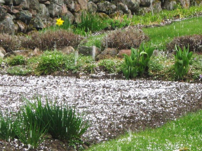 oooo spring 015 (700x525, 528Kb)