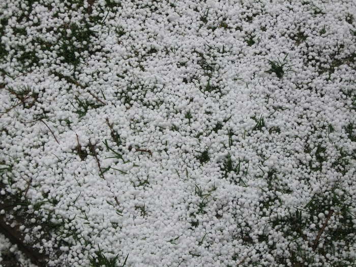oooo spring 010 (700x525, 423Kb)