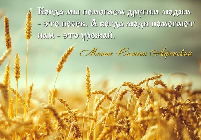imageПОМООЩЬ----- (700x486, 350Kb)