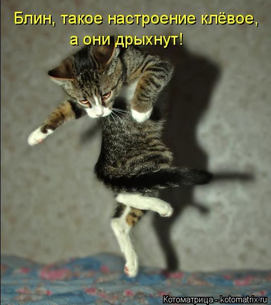 https://img1.liveinternet.ru/images/attach/d/0/129/287/129287421_5672049_1398454125_www_radionetplus_ru1.jpg