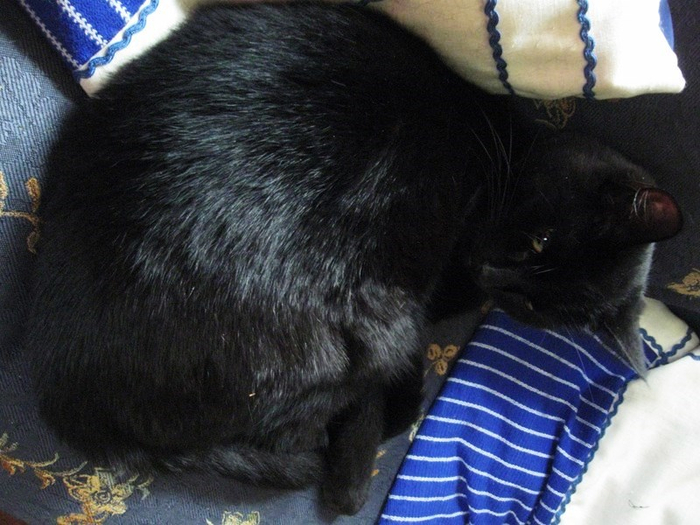 pp spring 005 (700x525, 368Kb)