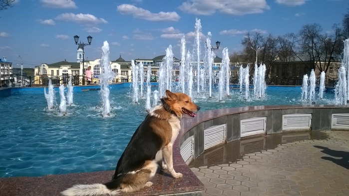 Площадь бугрова ногинск фото