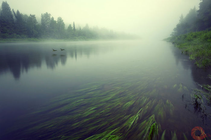 Южного Урала». ФотоВиктор Новокрещенов. (700x466, 38Kb)
