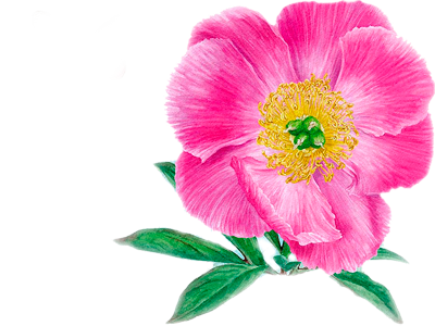  (2) (400x300, 189Kb)