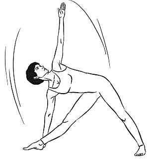 3925311_Ytthita_Trikonasana (300x321, 5Kb)