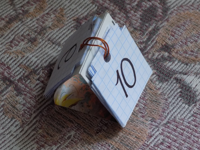 DSCN3992 (700x525, 408Kb)