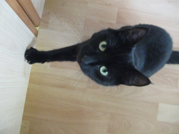 v spring 062 (700x525, 298Kb)