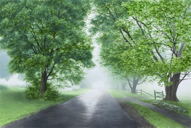 early-may-fog-sold (636x425, 304Kb)