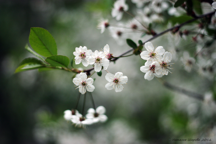 2 (700x466, 307Kb)