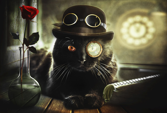 tumblr_nroig7VZS11s3hp12o1_1280 (700x471, 223Kb)