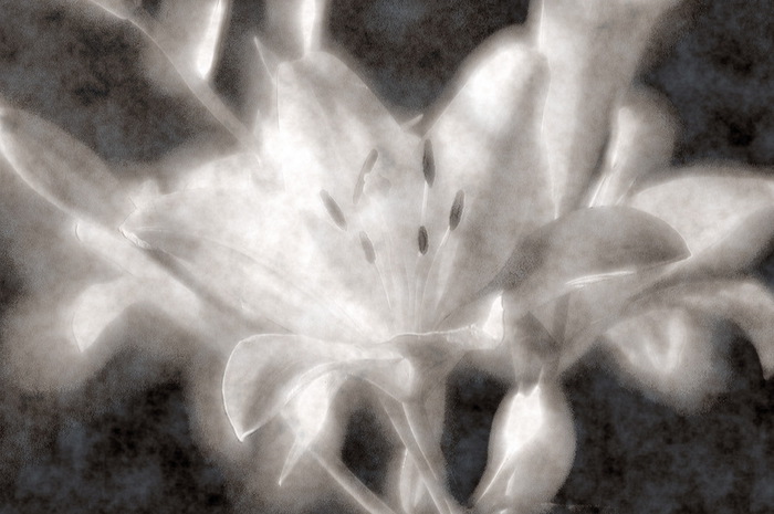 R_S (700x465, 88Kb)