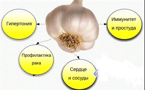 3443454_image (600x373, 64Kb)