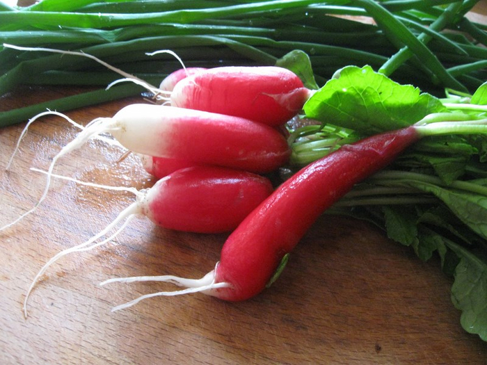 yyy spring 003 (700x525, 404Kb)