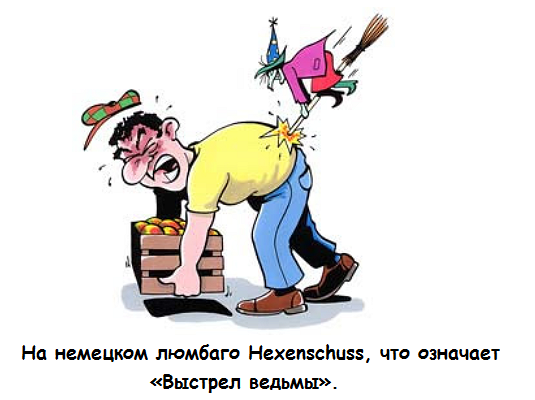 Что делать чтобы колени не болели Суставы