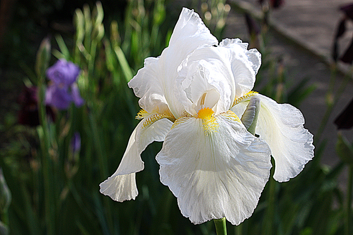 4052195_IMG_6552 (700x466, 420Kb)
