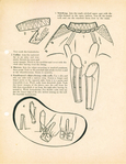  1954-lutterloh-book-golden-schnitte-sewing-patterns-16-638 (539x700, 279Kb)