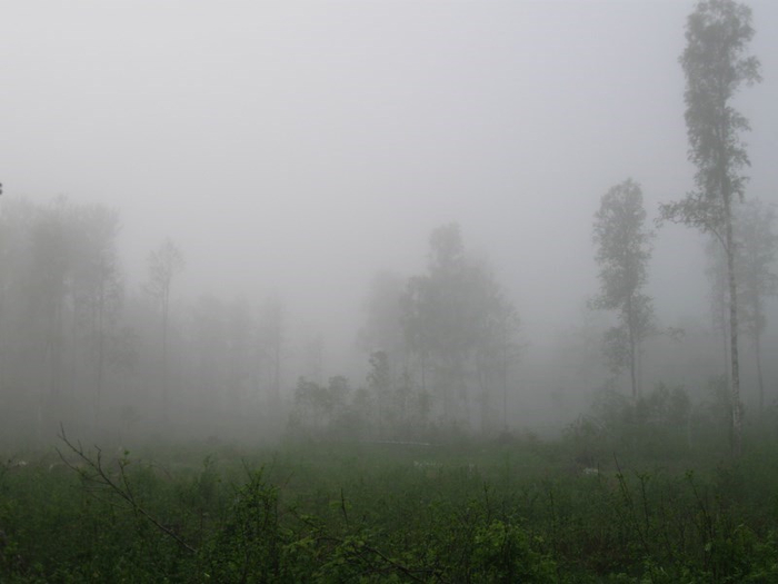 � spring 015 (700x525, 172Kb)