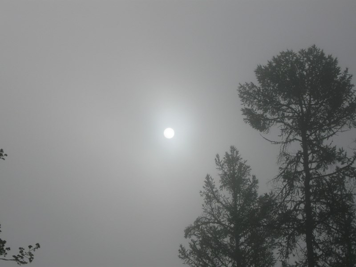 � spring 016 (700x525, 137Kb)