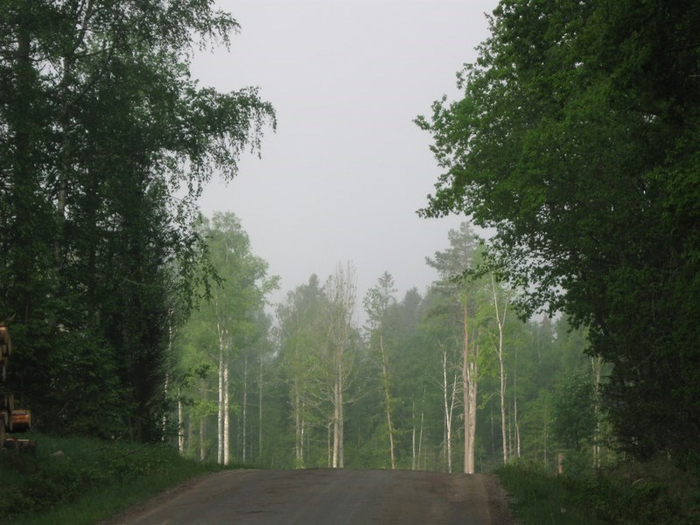 � spring 047 (700x525, 335Kb)