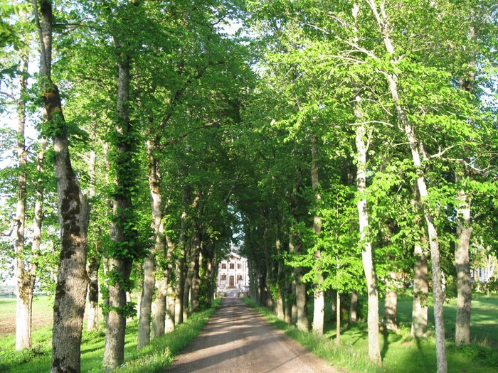 � spring 028 (700x525, 584Kb)