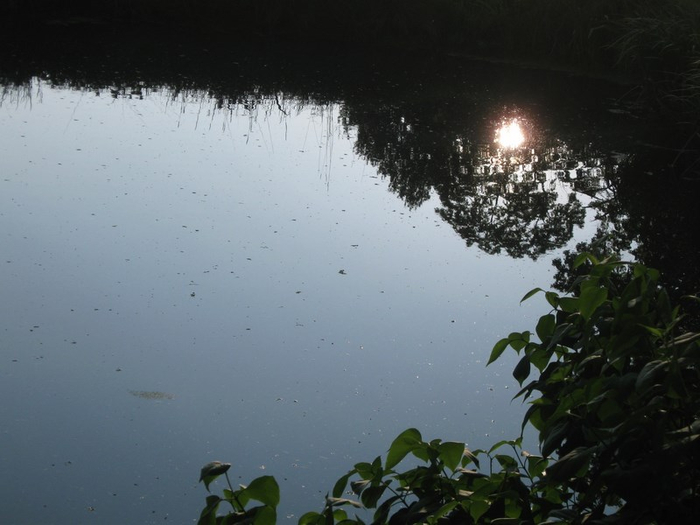 � spring 044 (700x525, 239Kb)