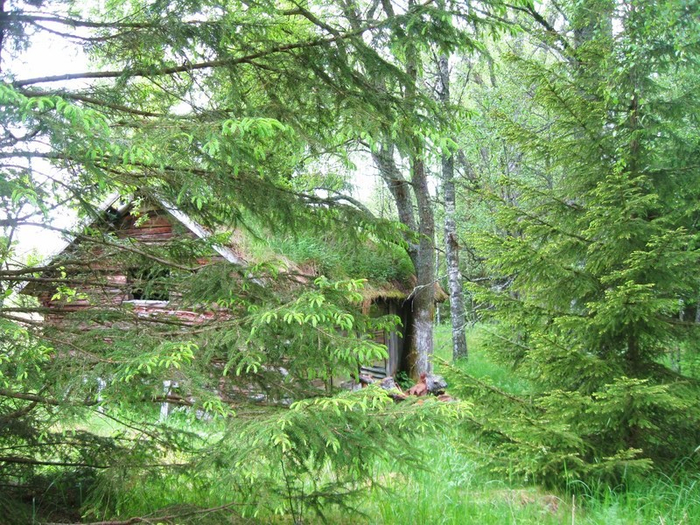 � spring 027 (700x525, 546Kb)