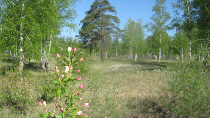 IMG_7775 (700x392, 425Kb)