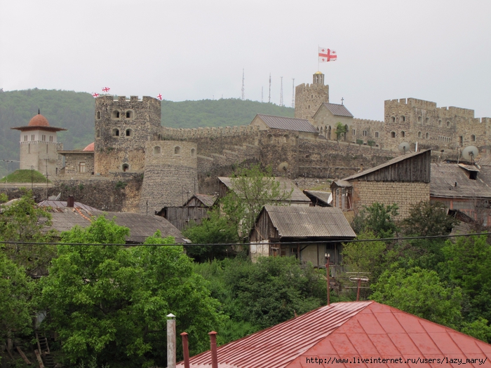 IMG_0091 (700x525, 321Kb)