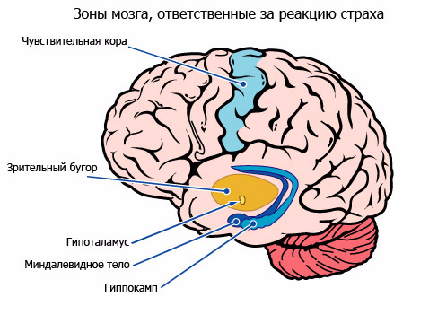 original (1) (478x360, 140Kb)