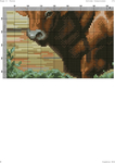 Toros-006 (494x700, 256Kb)