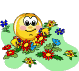 i-35382 (79x71, 24Kb)