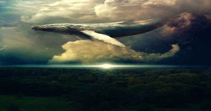 4644550_e3f046dc (700x367, 245Kb)