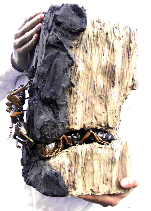 Camponotus-truncatus--Alexis-Dworsky- (501x700, 392Kb)