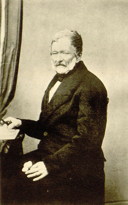 Jean Baptiste Henri Joseph Desmazières (440x700, 340Kb)