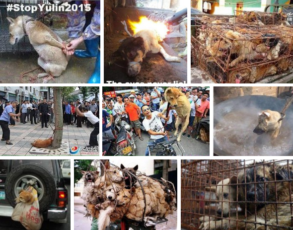 ����� (590x463, 798Kb)