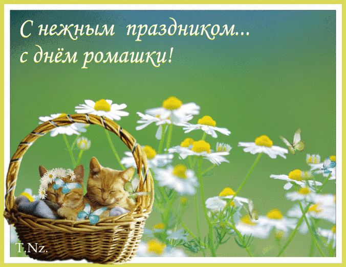 uTj6nsB3xclJ (676x523, 5457Kb)