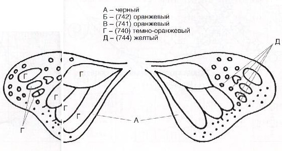 5988810_Babochkamonarh_7 (556x299, 54Kb)