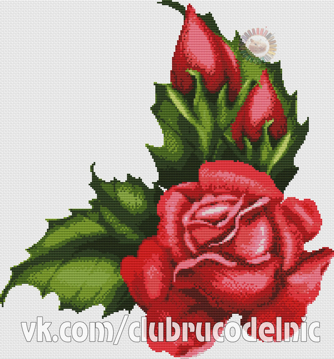 Beautiful rose (650x700, 601Kb)