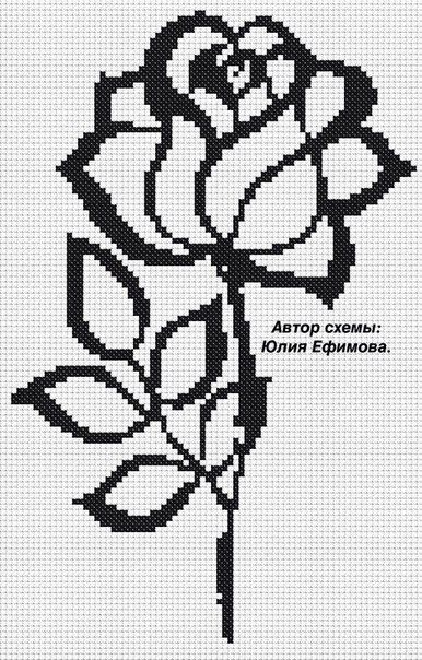 52b1aba50ddbd6462f408893ca6593cf--monochrom-white-roses (386x604, 81Kb)