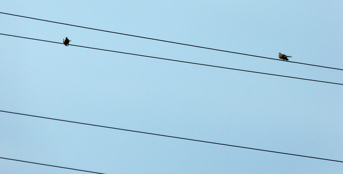 001 (700x356, 62Kb)