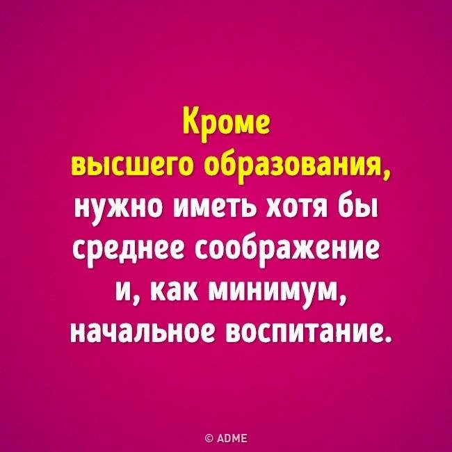 Имея высшее. Кроме высшего образования нужно иметь. Кроме высшего образования нужно иметь хотя. Кроме высшего образования нужно иметь хотя бы начальное воспитание. Кроме высшего образования нужно иметь среднее соображение.