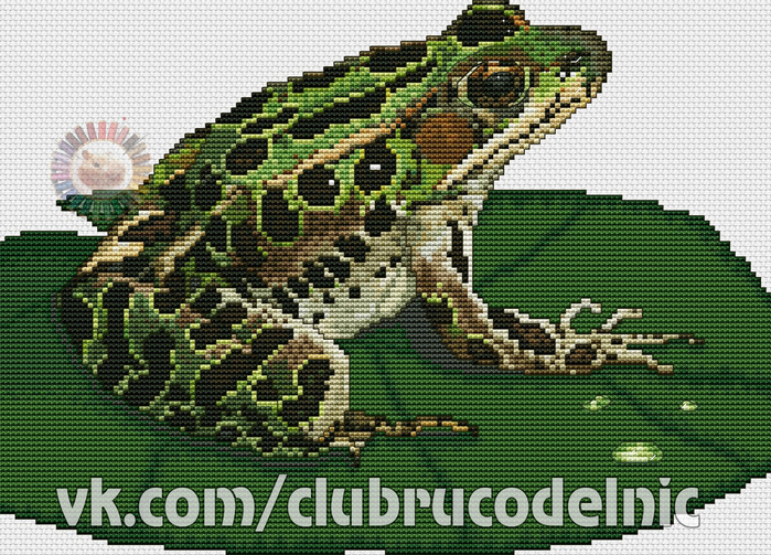 Leopard Frog (700x503, 537Kb)