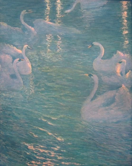 Swans in Bruges. 1930 (556x700, 420Kb)