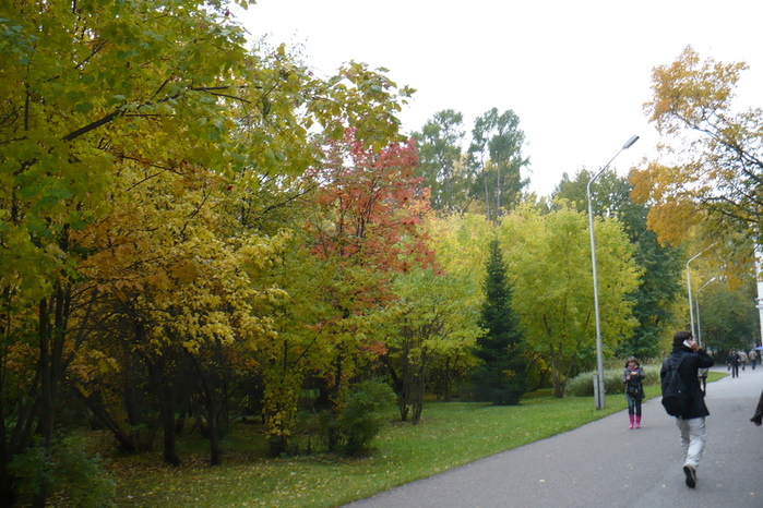  2010  (700x466, 234Kb)